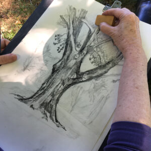 Beginning Landscape Drawing Workshop