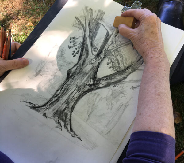 Beginning Landscape Drawing Workshop