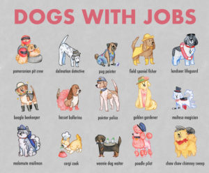 "Dogs With Jobs," Alicia Groff.