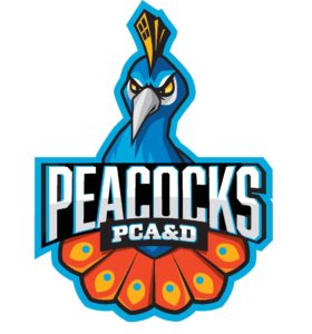 mascot logo for PCA&D Esports -- the Gamebirds