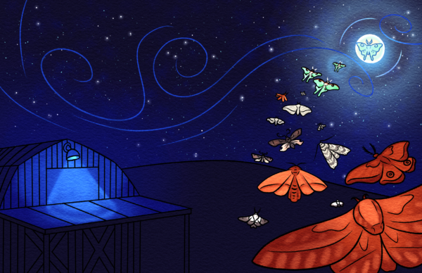 Illustration for "The Moth that Flew to the Moon," by Joanna Becker '21, Illustration. digital watercolor style of trail of moths flying toward moon at night, with lit barn in background.