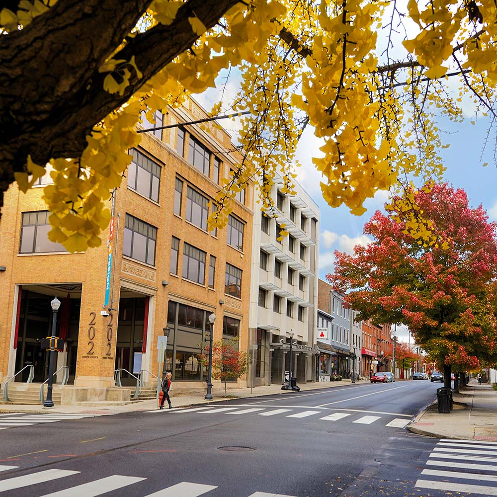 PCA&D Campus in the Fall