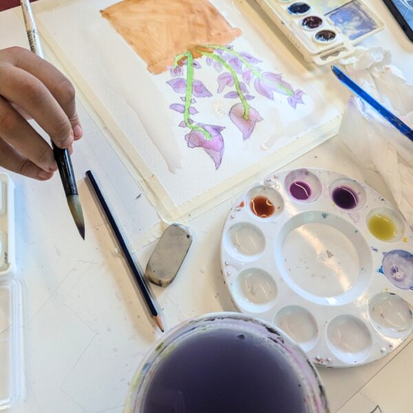 June | Beginning Botanical Watercolor & Drawing: Grades 7-9