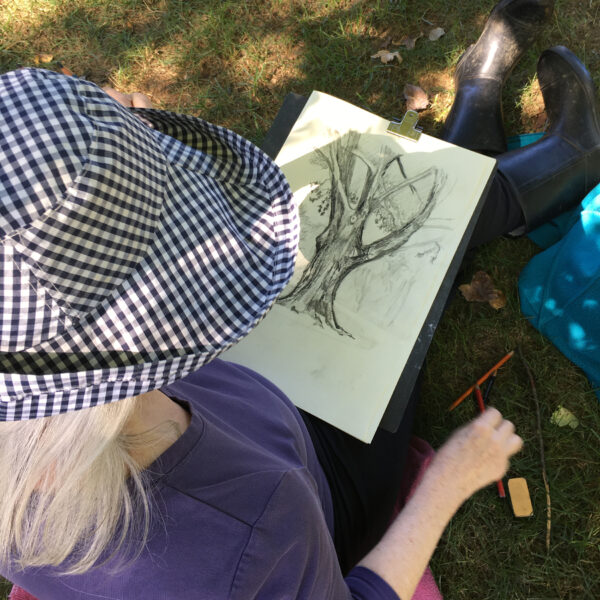 Landscape Drawing Workshop